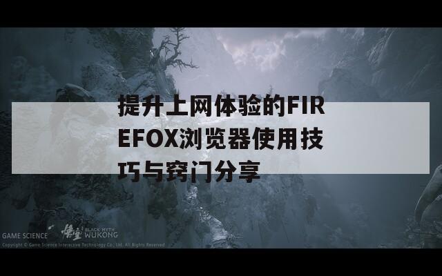 提升上网体验的FIREFOX浏览器使用技巧与窍门分享  第1张