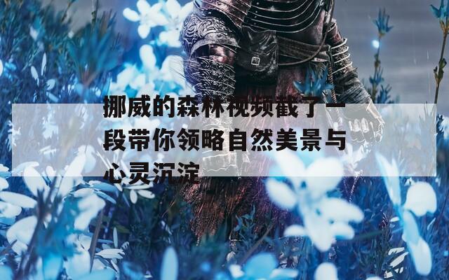 挪威的森林视频截了一段带你领略自然美景与心灵沉淀