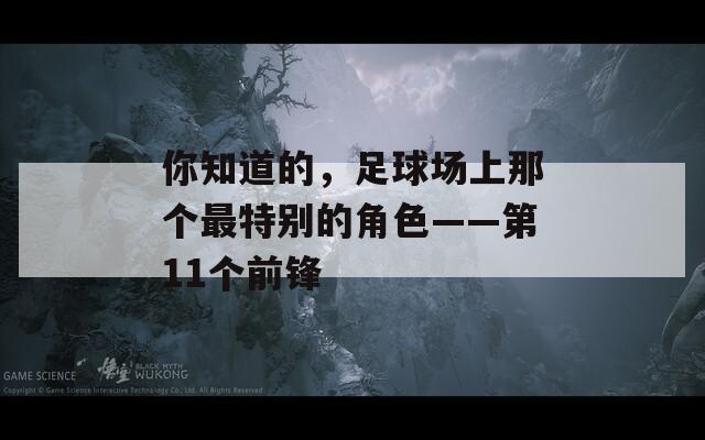 你知道的，足球场上那个最特别的角色——第11个前锋