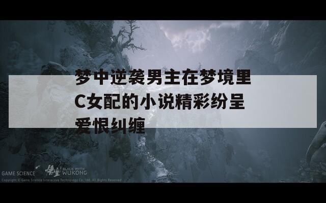 梦中逆袭男主在梦境里C女配的小说精彩纷呈爱恨纠缠
