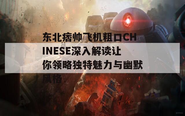 东北痞帅飞机粗口CHINESE深入解读让你领略独特魅力与幽默风格