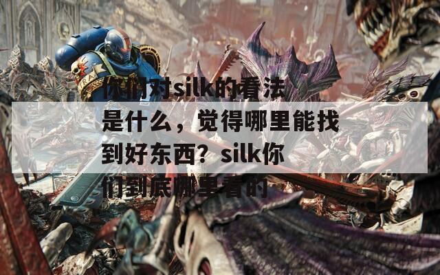 你们对silk的看法是什么，觉得哪里能找到好东西？silk你们到底哪里看的