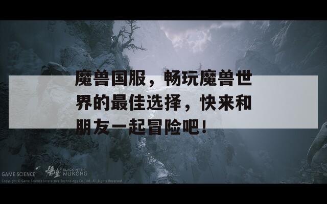 魔兽国服，畅玩魔兽世界的最佳选择，快来和朋友一起冒险吧！