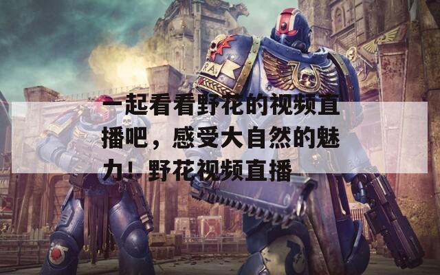 一起看看野花的视频直播吧，感受大自然的魅力！野花视频直播