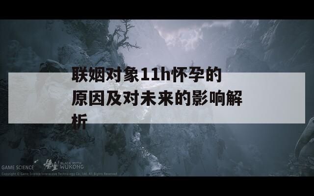 联姻对象11h怀孕的原因及对未来的影响解析