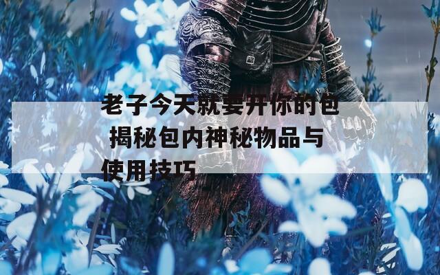 老子今天就要开你的包 揭秘包内神秘物品与使用技巧