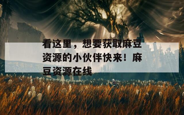 看这里，想要获取麻豆资源的小伙伴快来！麻豆资源在线