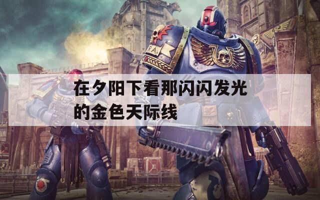 在夕阳下看那闪闪发光的金色天际线  第1张