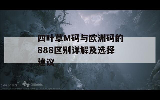 四叶草M码与欧洲码的888区别详解及选择建议  第1张