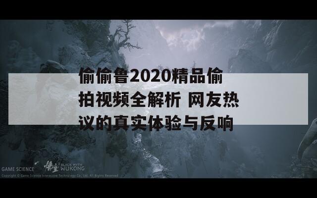 偷偷鲁2020精品偷拍视频全解析 网友热议的真实体验与反响