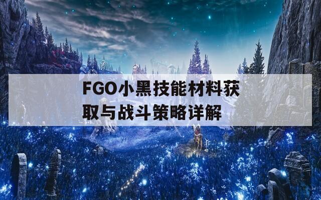 FGO小黑技能材料获取与战斗策略详解
