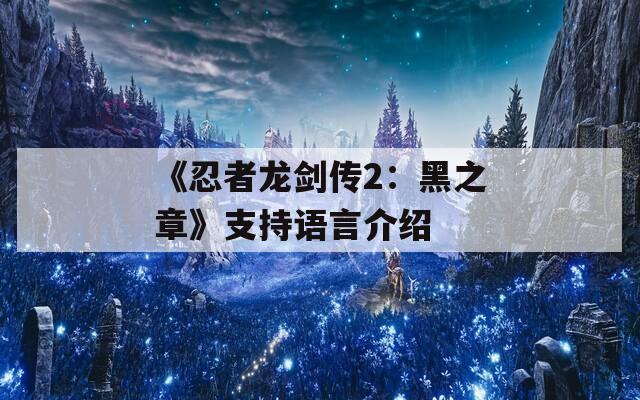 《忍者龙剑传2：黑之章》支持语言介绍