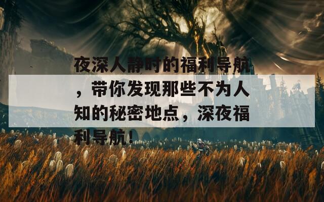 夜深人静时的福利导航，带你发现那些不为人知的秘密地点，深夜福利导航！