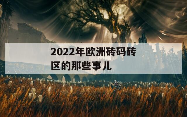2022年欧洲砖码砖区的那些事儿