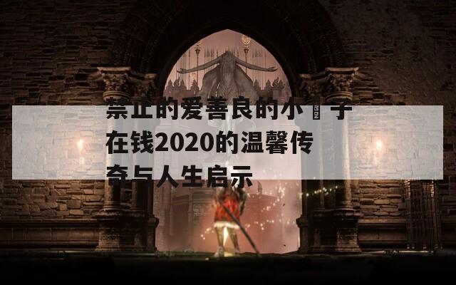禁止的爱善良的小峓子在钱2020的温馨传奇与人生启示