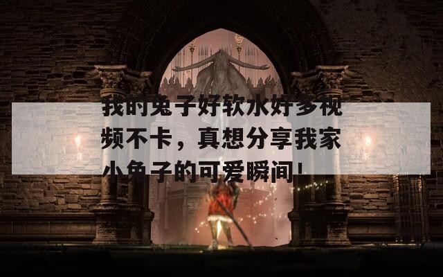 我的兔子好软水好多视频不卡，真想分享我家小兔子的可爱瞬间！
