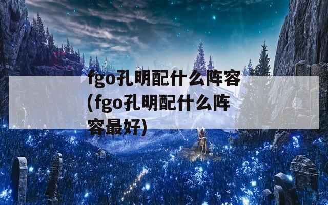 fgo孔明配什么阵容(fgo孔明配什么阵容最好)  第1张