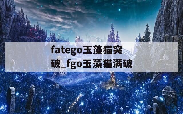 fatego玉藻猫突破_fgo玉藻猫满破