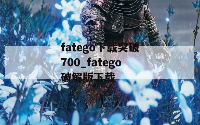 fatego下载突破700_fatego破解版下载