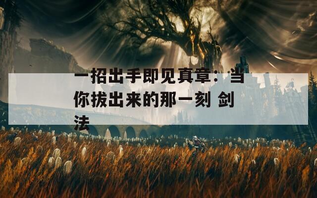 一招出手即见真章：当你拔出来的那一刻 剑法