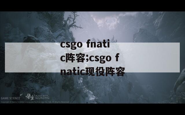 csgo fnatic阵容;csgo fnatic现役阵容