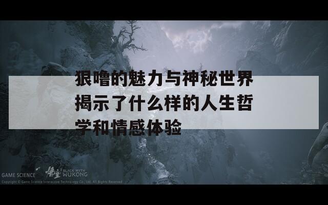 狠噜的魅力与神秘世界揭示了什么样的人生哲学和情感体验