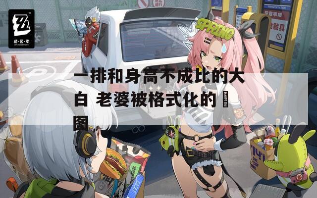 一排和身高不成比的大白 老婆被格式化的囧图