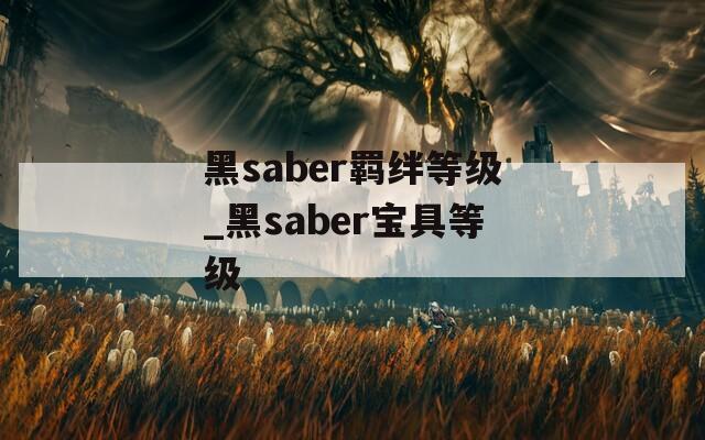 黑saber羁绊等级_黑saber宝具等级