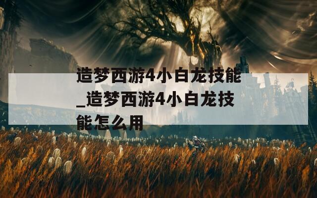 造梦西游4小白龙技能_造梦西游4小白龙技能怎么用