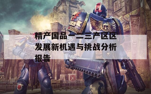 精产国品一二三产区区发展新机遇与挑战分析报告