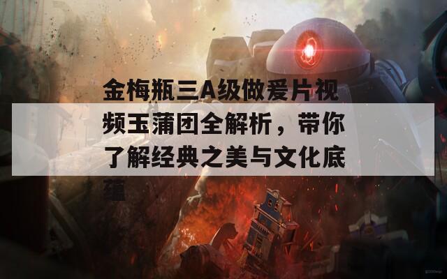 金梅瓶三A级做爰片视频玉蒲团全解析，带你了解经典之美与文化底蕴