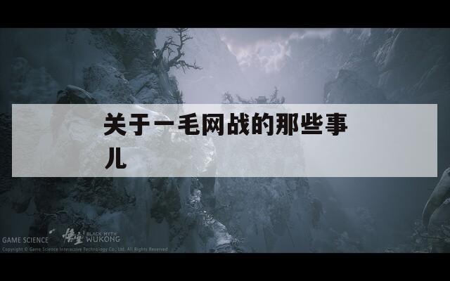 关于一毛网战的那些事儿