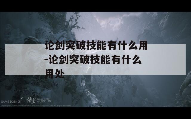 论剑突破技能有什么用-论剑突破技能有什么用处