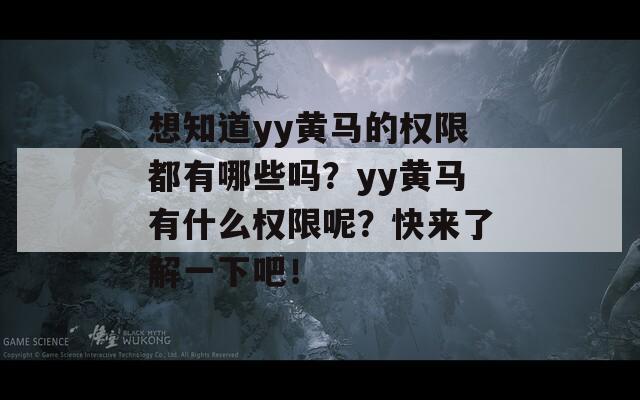 想知道yy黄马的权限都有哪些吗？yy黄马有什么权限呢？快来了解一下吧！
