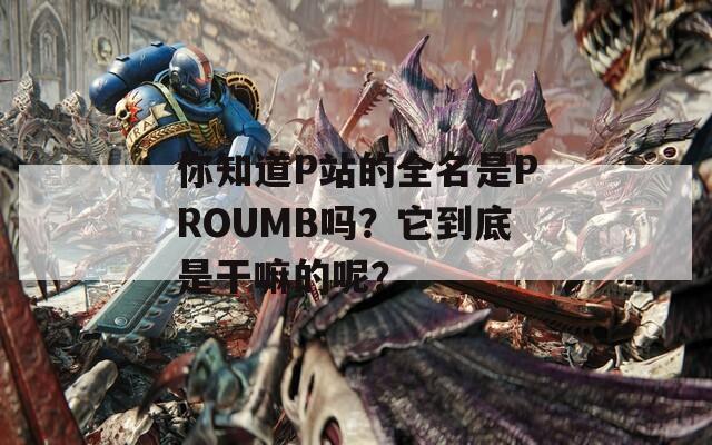 你知道P站的全名是PROUMB吗？它到底是干嘛的呢？