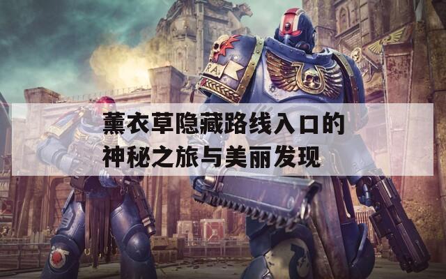 薰衣草隐藏路线入口的神秘之旅与美丽发现