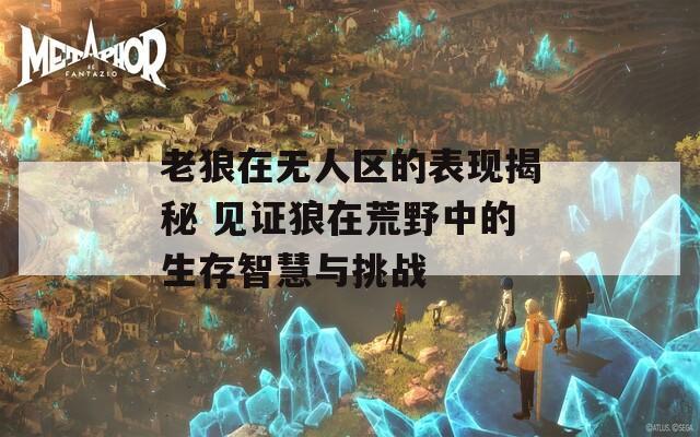 老狼在无人区的表现揭秘 见证狼在荒野中的生存智慧与挑战  第1张