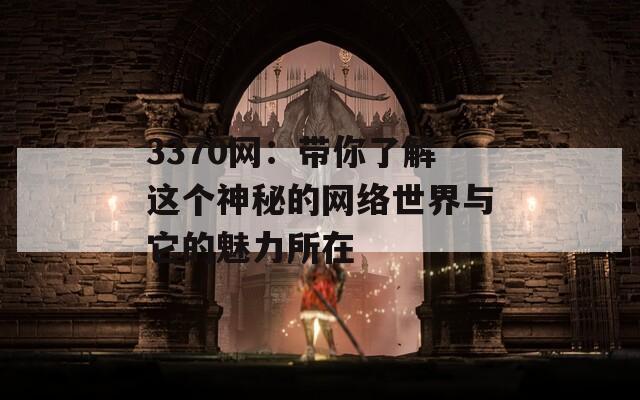 3370网：带你了解这个神秘的网络世界与它的魅力所在