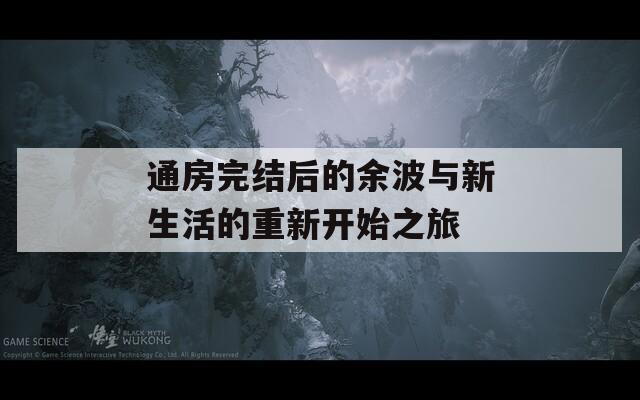 通房完结后的余波与新生活的重新开始之旅