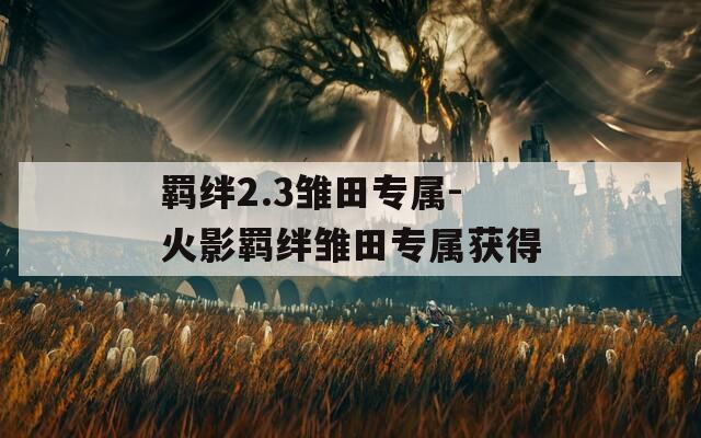 羁绊2.3雏田专属-火影羁绊雏田专属获得