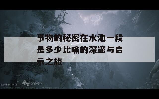 事物的秘密在水池一段是多少比喻的深邃与启示之旅