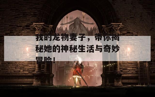 我的龙物妻子，带你揭秘她的神秘生活与奇妙冒险！