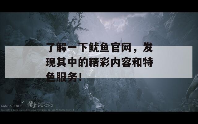 了解一下鱿鱼官网，发现其中的精彩内容和特色服务！