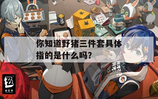 你知道野猪三件套具体指的是什么吗？