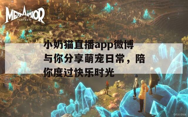 小奶猫直播app微博与你分享萌宠日常，陪你度过快乐时光