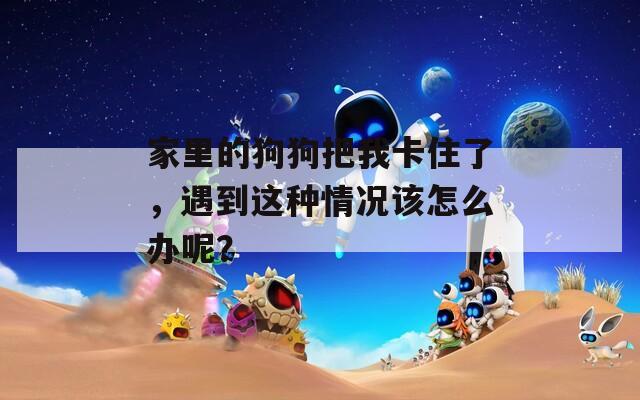 家里的狗狗把我卡住了，遇到这种情况该怎么办呢？