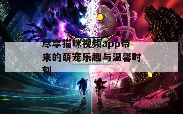 尽享猫咪视频app带来的萌宠乐趣与温馨时刻