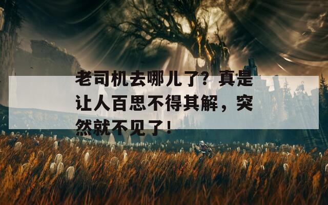 老司机去哪儿了？真是让人百思不得其解，突然就不见了！