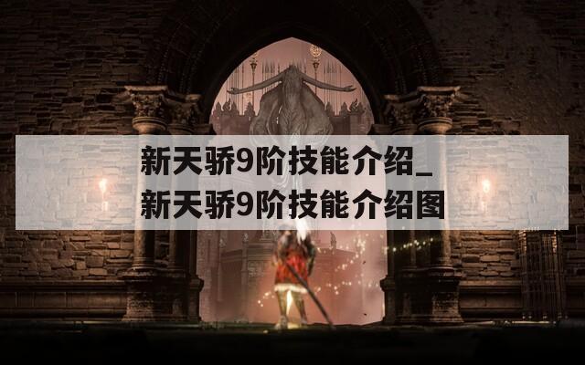 新天骄9阶技能介绍_新天骄9阶技能介绍图  第1张