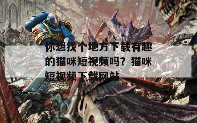 你想找个地方下载有趣的猫咪短视频吗？猫咪短视频下载网站